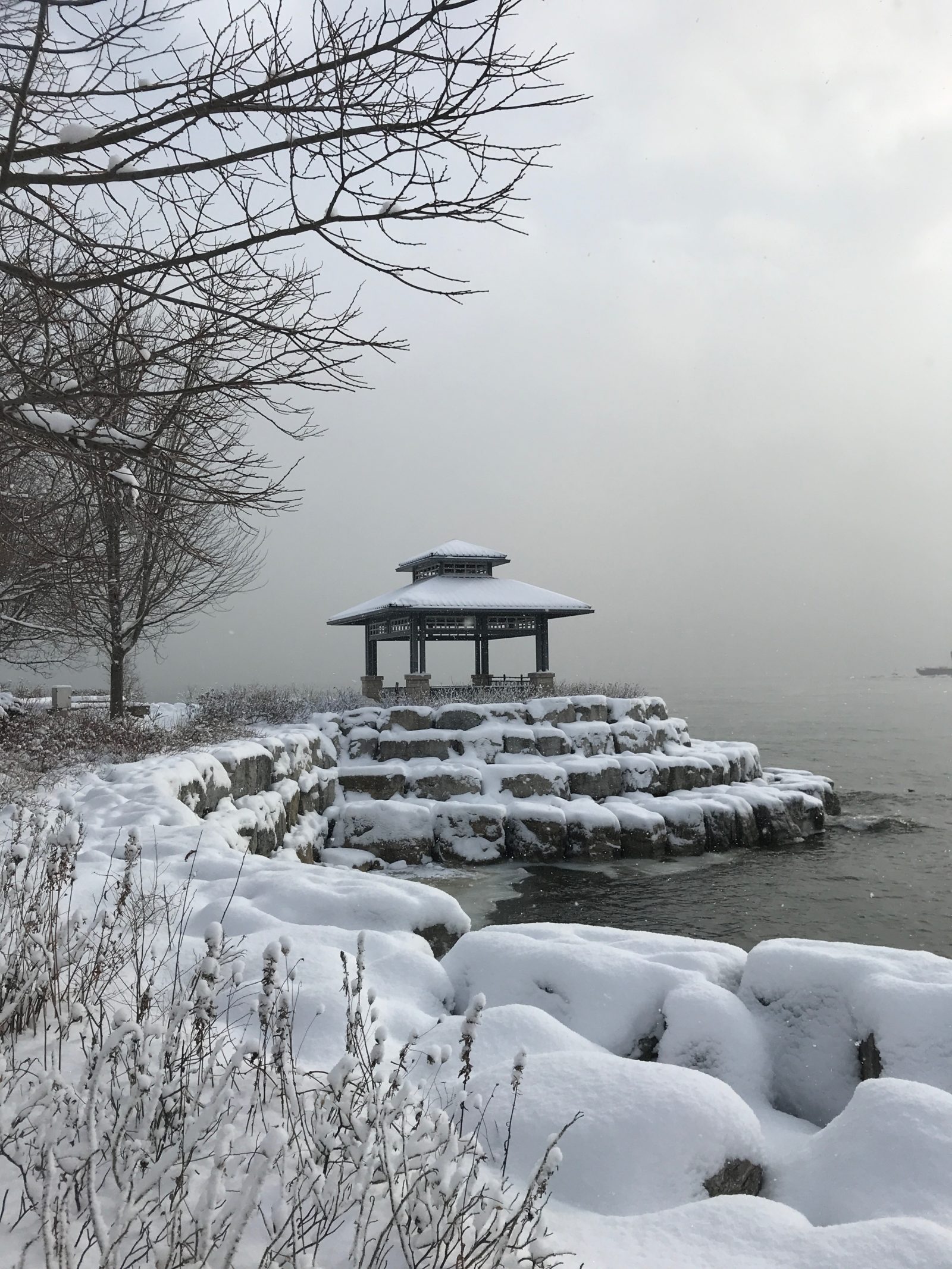 11 things to do in Toronto in Winter - That Goan Girl