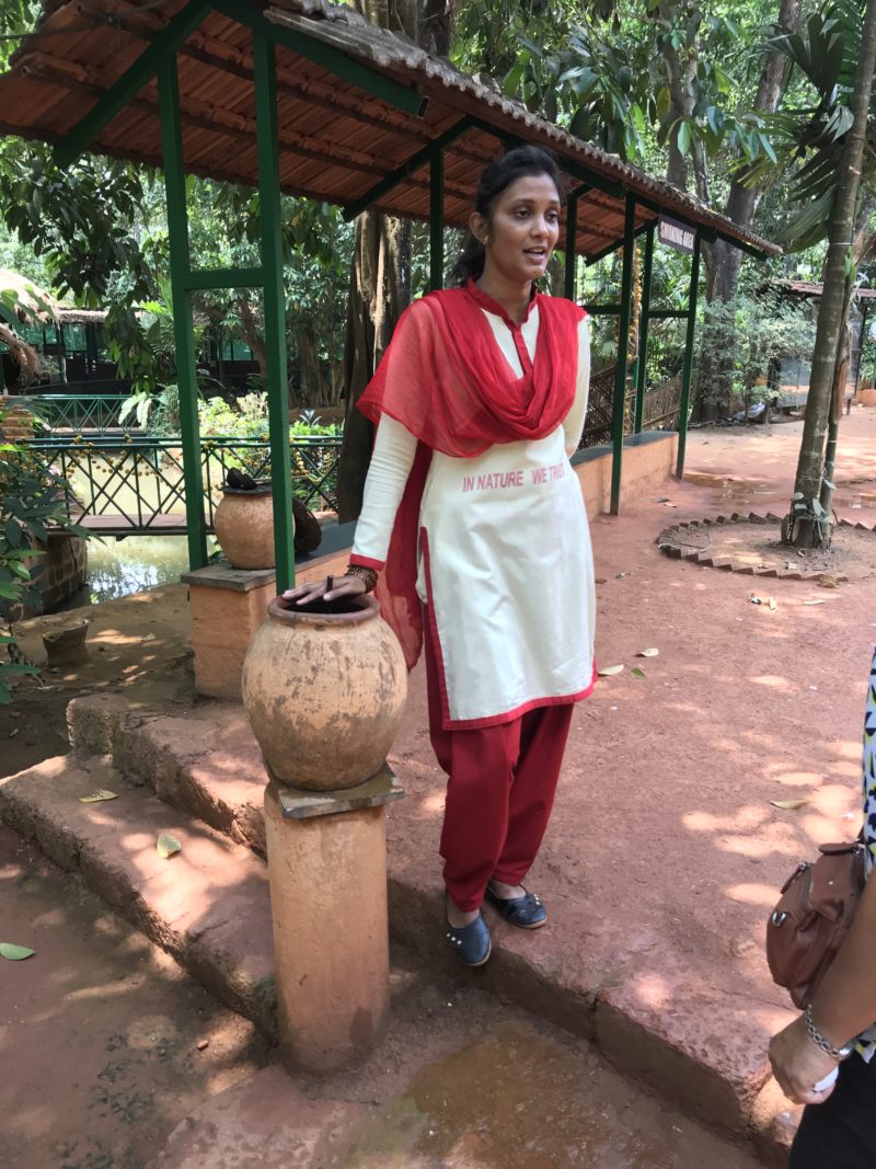 experience spice farm goa