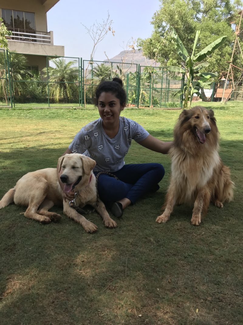 manas petting zoo dogs