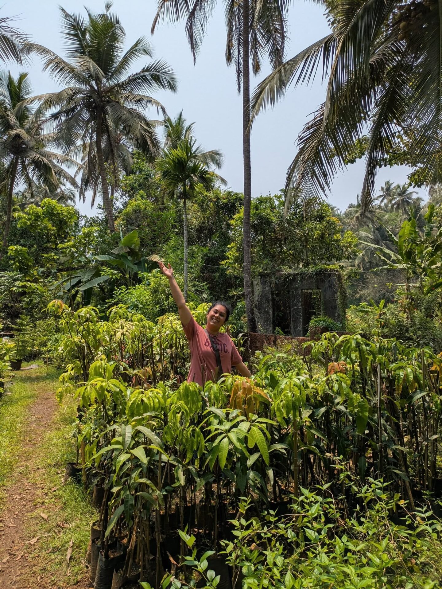 Visit These Plant Nurseries in Goa To Spruce Up Your Garden