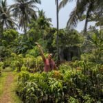 plant nurseries goa