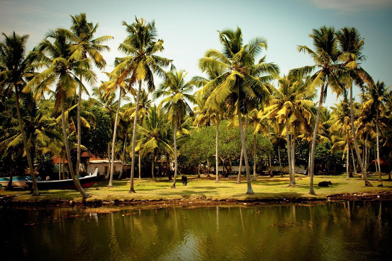 kerala south india