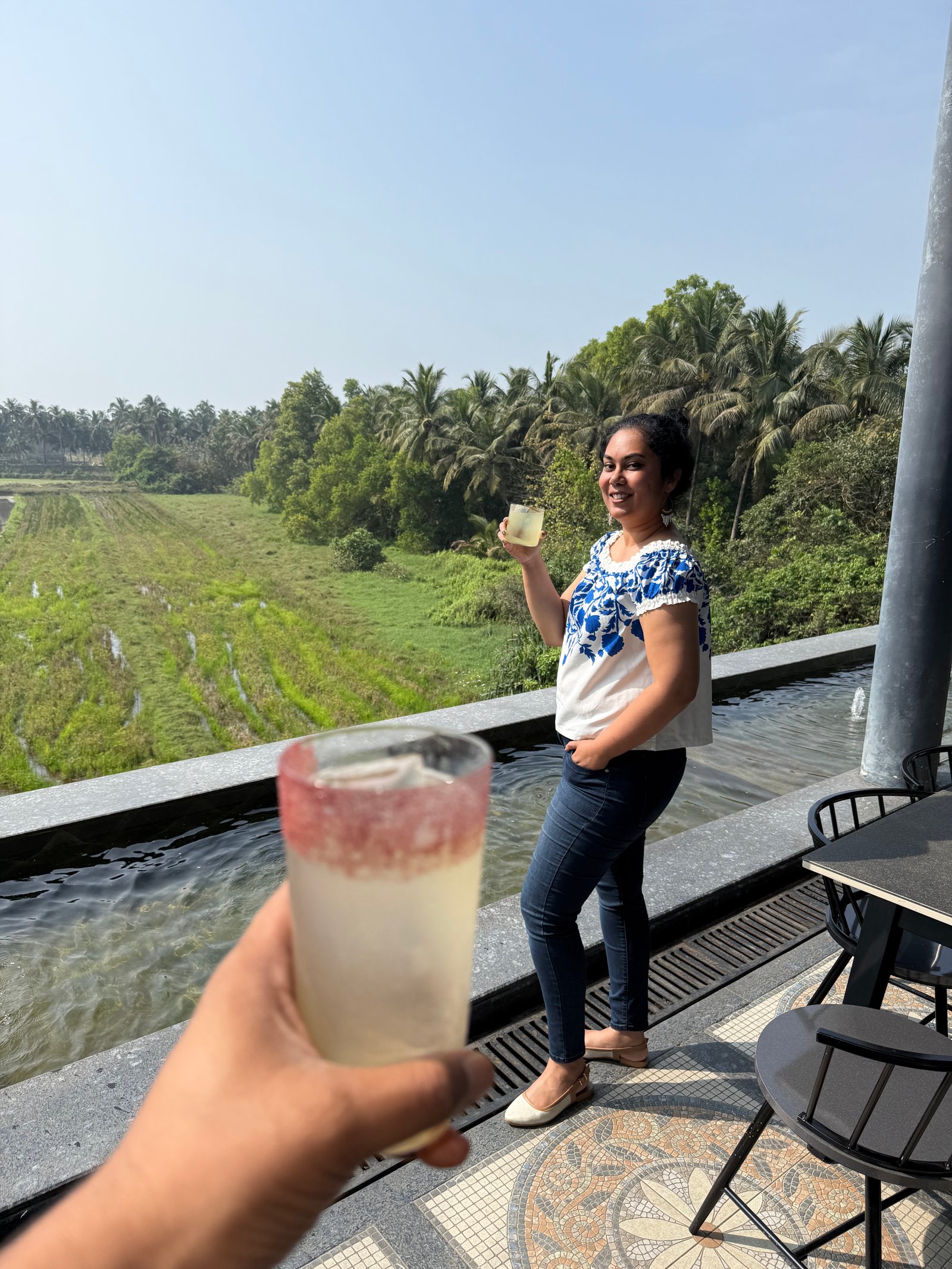 south goa bars