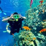 scuba diving grande island goa